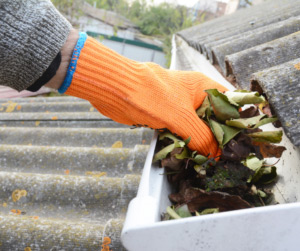 Not Keeping Gutters Cleaned 