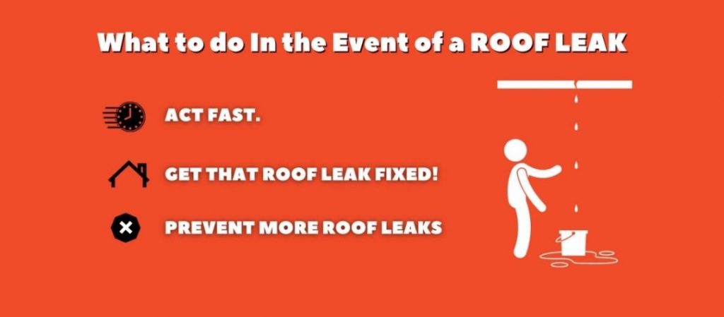 What To Do In The Event Of A Roof Leak