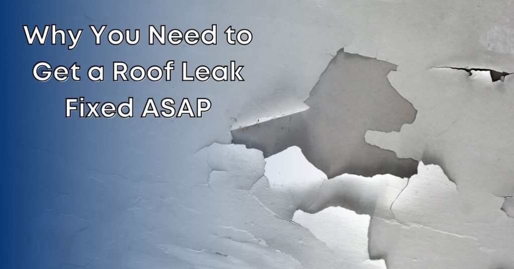 Why You Need To Get A Roof Leak Fixed Asap